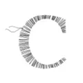 Celtic & Co voucher codes and deals