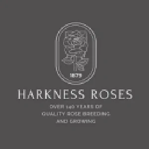 Harkness Roses